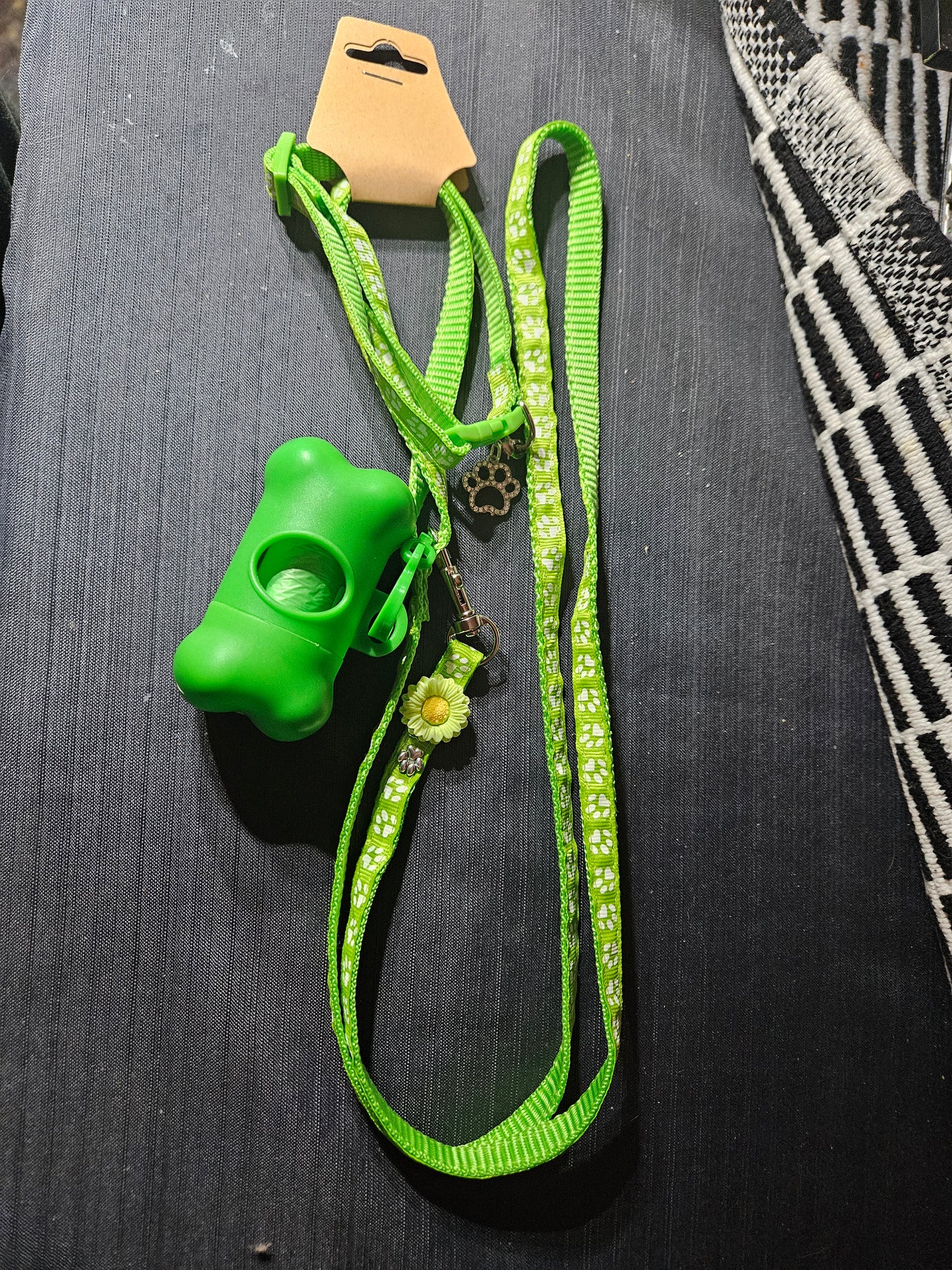 Leash, Collar, and Poop Bag Set - Green #1398