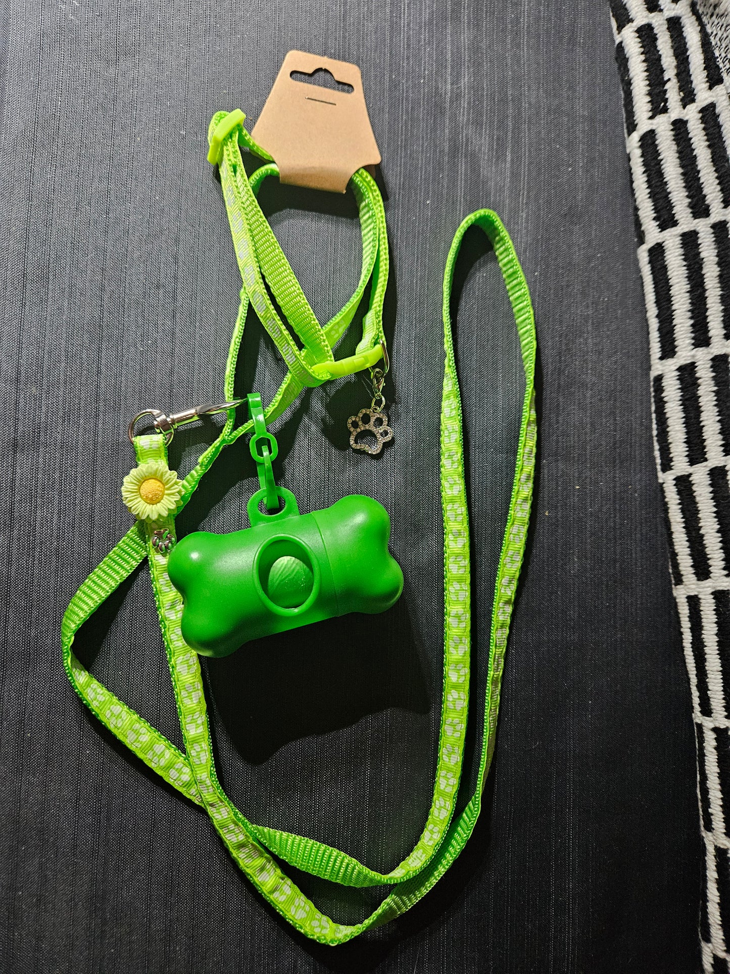 Leash, Collar, and Poop Bag Set - Light Green #1402
