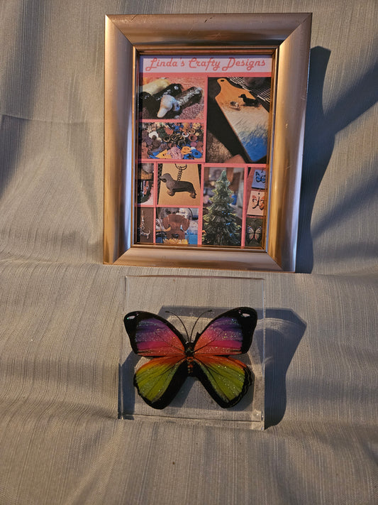 Resin Paperweight - Butterfly #928