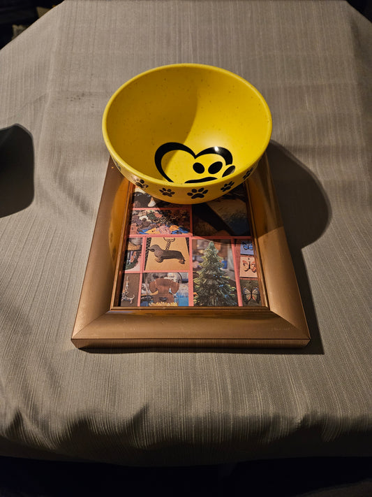 Plastic Dog Bowl - Yellow #1011